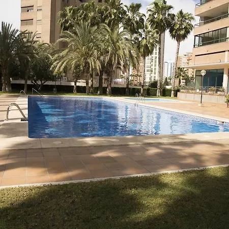 Paraiso Centro Alquilevante *